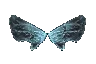 Wings of Elf